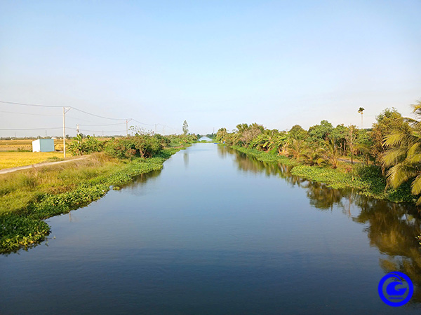 Xổ xả, cải tạo chất lượng nguồn nước vùng Ngọt hóa Gò Công phục vụ sản xuất vụ Hè Thu