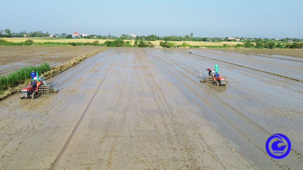 Đồng hành cùng phong trào khởi nghiệp, đổi mới sáng tạo, phát triển tài sản trí tuệ