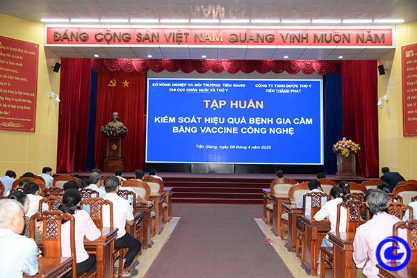 Kiểm soát hiệu quả bệnh gia cầm bằng vaccine công nghệ