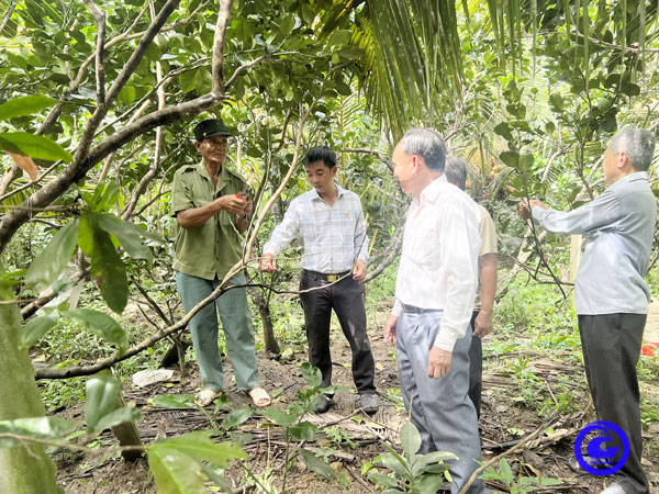 Dấu ấn cựu chiến binh trong xây dựng nông thôn mới