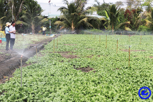 Chú trọng tiếp tục phát triển nông nghiệp theo hướng công nghệ cao, giúp tăng giá trị sản phẩm