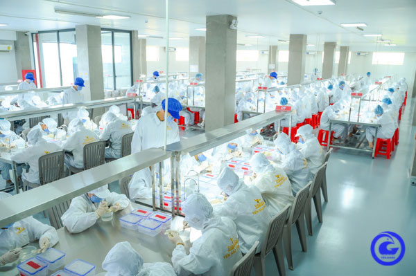 Hướng đến phát triển bền vững nghề nuôi chim yến
