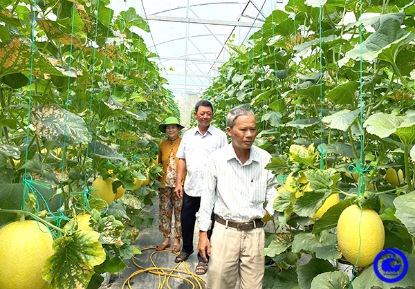 Huyện Gò Công Tây hướng đến nền nông nghiệp phát triển bền vững thích ứng biến đổi khí hậu